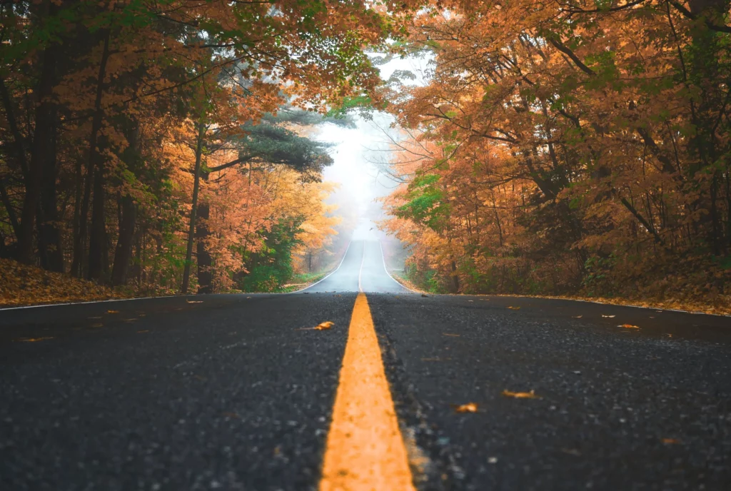 route-montagne-corse-du-sud-automne-louer-une-voiture